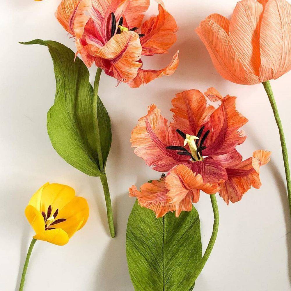 Crepe Paper Flower DIY Kits for paper flowers making