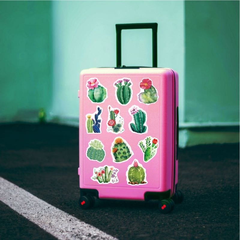 cactus stickers on suitcase