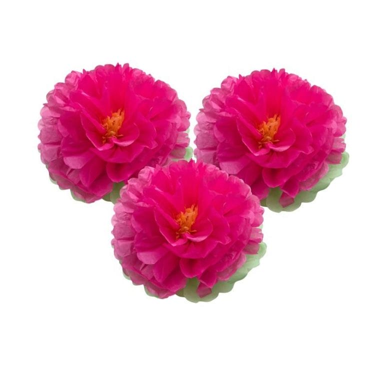 rose tissue pom poms