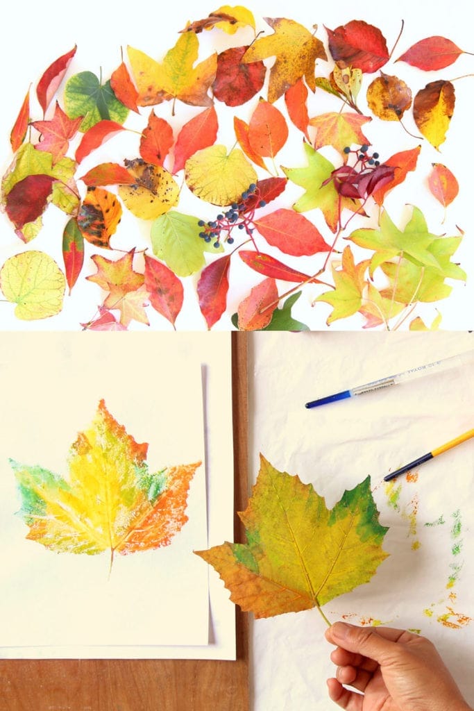 Add a vibrant touch of nature to your walls with DIY leaf artwork and prints