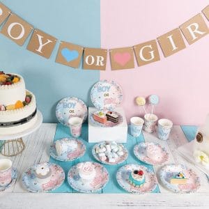 Gender Reveal Party Decoration Set