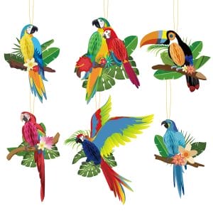 Green Parrot Party Swirls Set of 6
