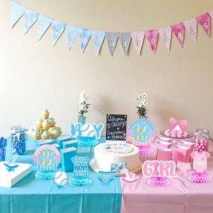 Table Blue and Pink Gender Reveal Party Decorations