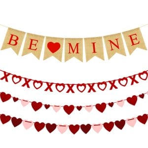 Valentines Day Decorations Set With Party Banners