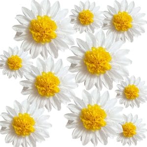 White Yellow Daisy Tissue Paper Pom Poms Party Decorations