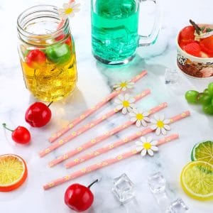 Daisy Paper Straws for drinks summer decorations