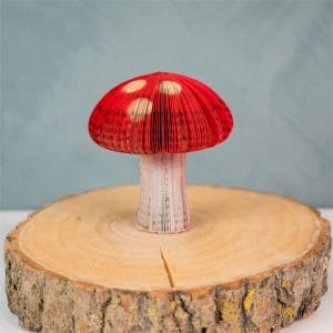 ECO-friendly Mushrooms Honeycomb Paper Decorations