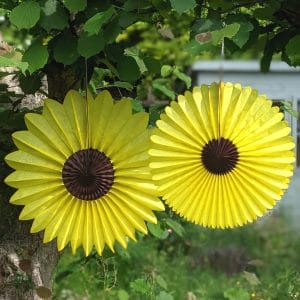 Sunflower Honeycomb Paper Fan Decorations Two Sizes__yythk (2)