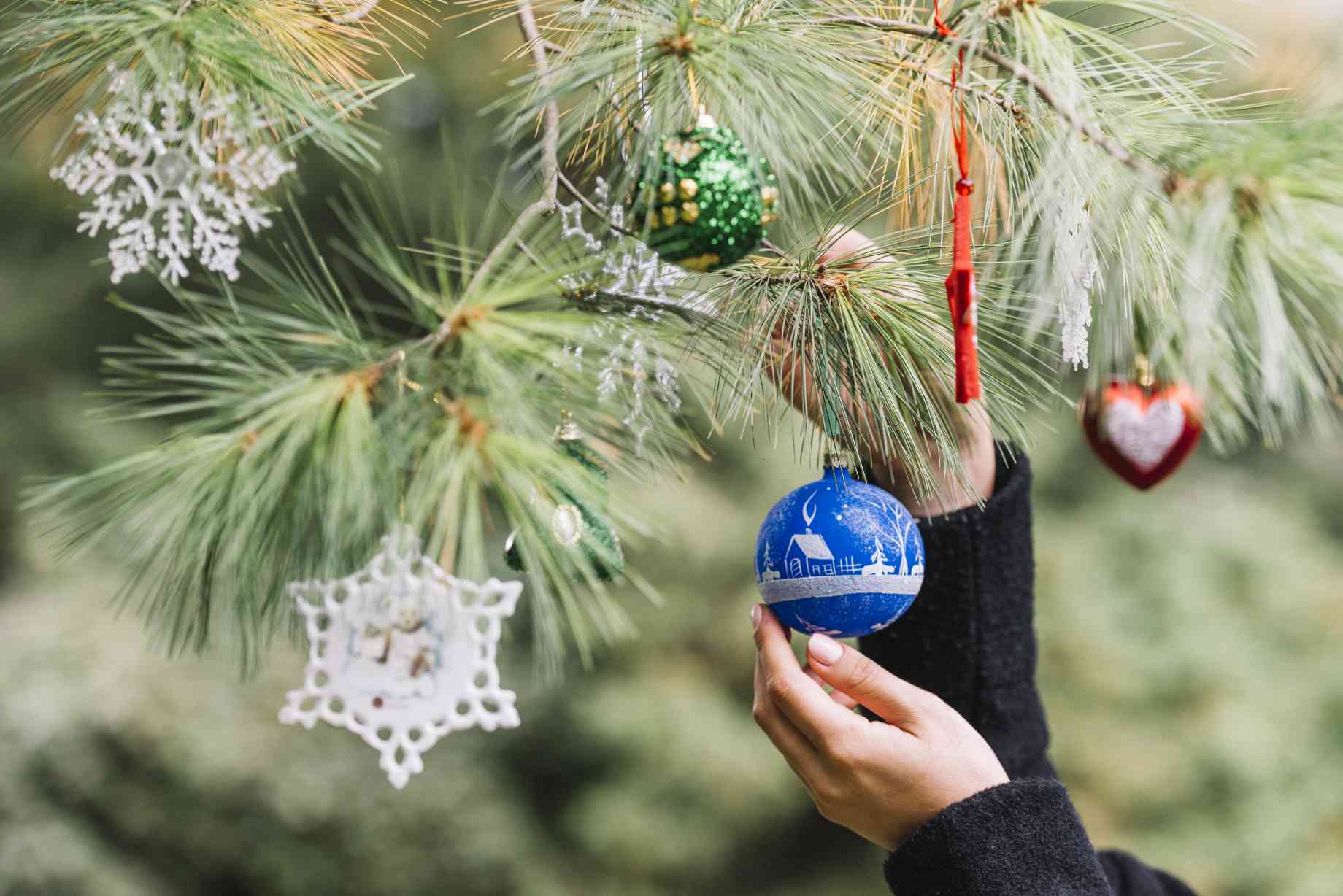 woman-hands-hanging-christmas-toys-twig-forest