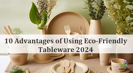 10 Advantages of Using Eco-Friendly Tableware