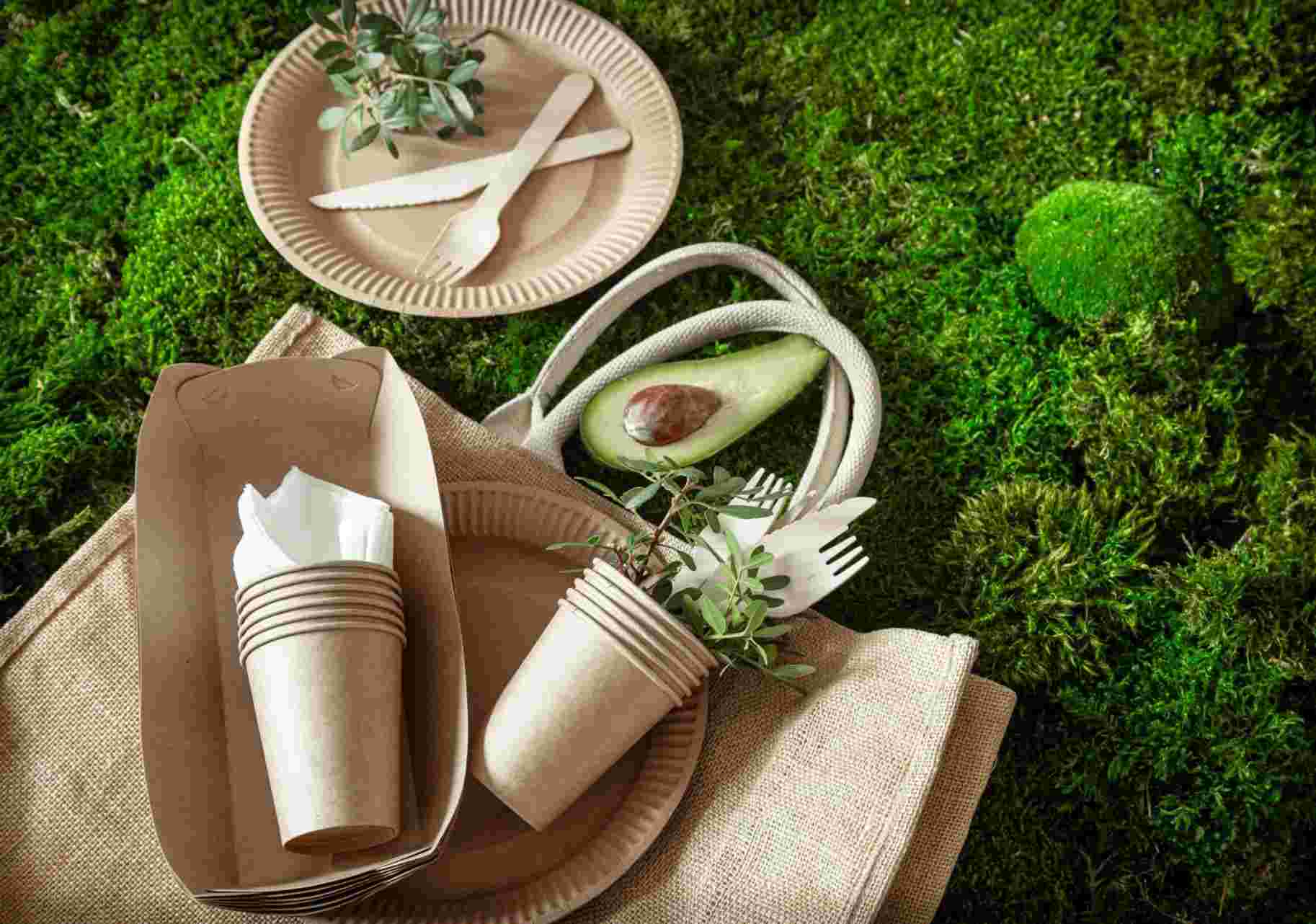 eco friendly stylish disposable convenient beautiful recyclable tableware