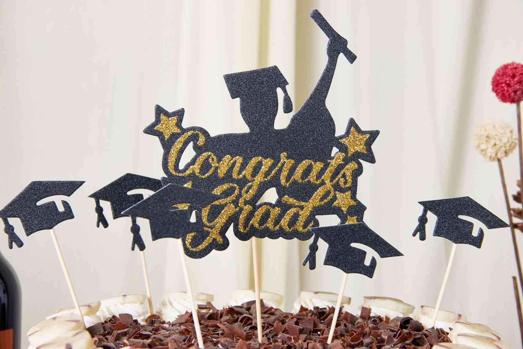 Gard Cake Toppers Graduation Decoration Ideas for 2024