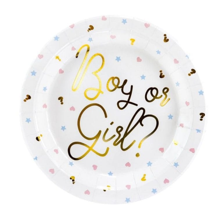 Boy or Girl Gender Reveal Lunch Plates