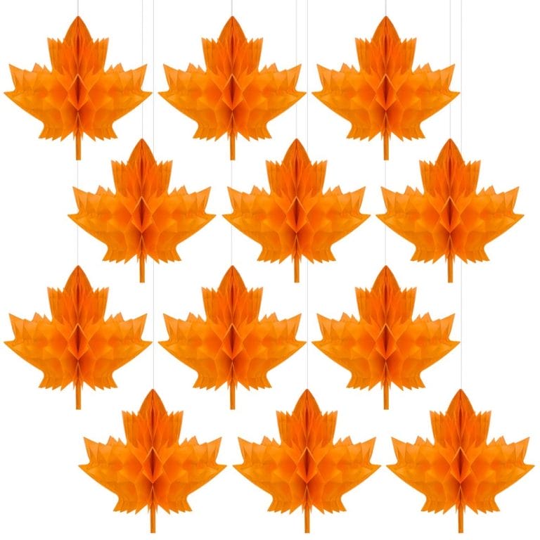 Maple Leaf-01