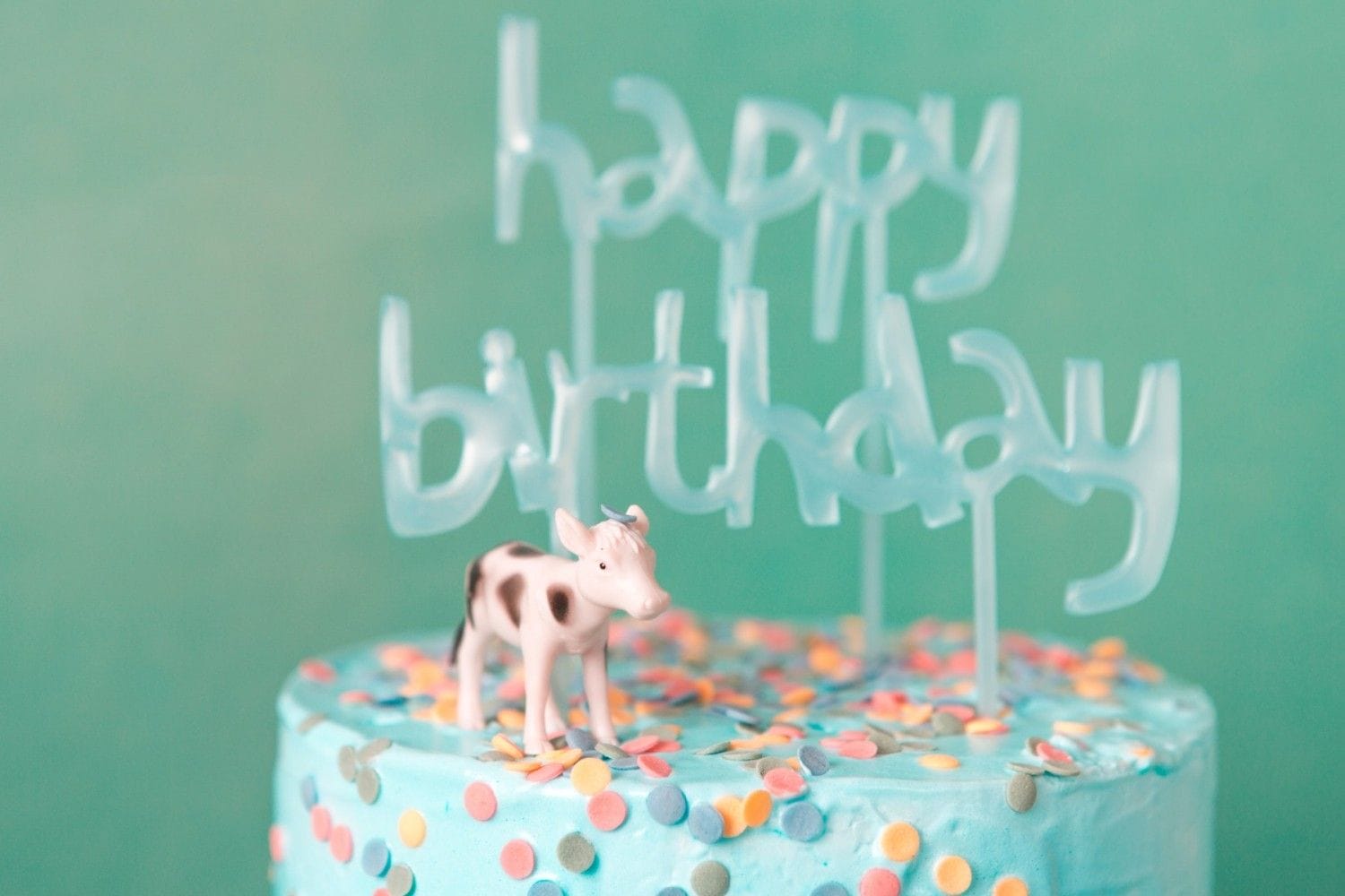 blue birthday party cake with cow