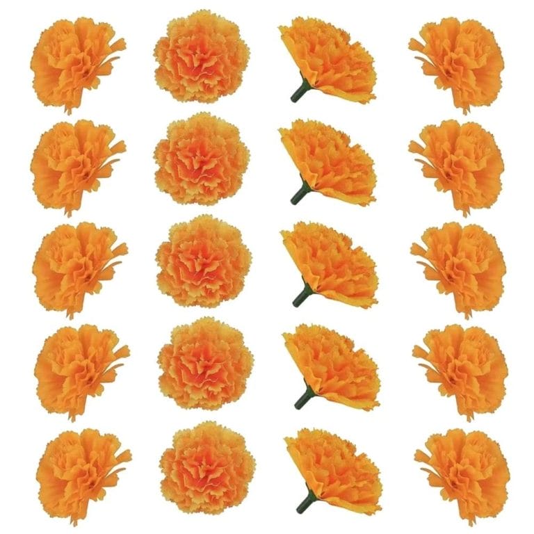 Orange - 20Pcs-02