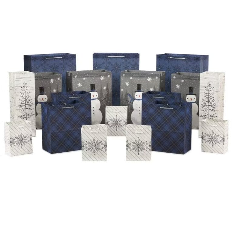 Hallmark Assorted Gift Bags, 1 of 6