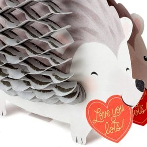 Honeycomb Hedgehog — Hallmark Paper Wonder Pop Up Valentines Day Card 1