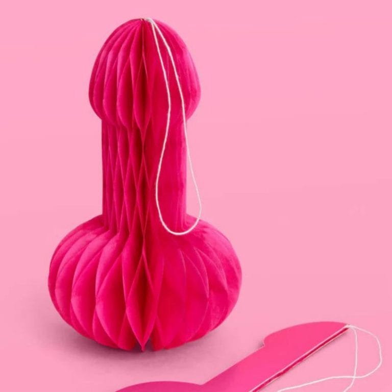 P3N!5 Accordion - 4 paper accordions (1)