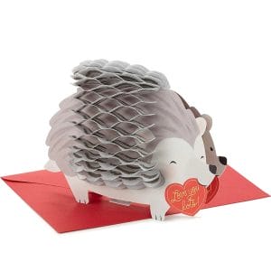 Honeycomb Hedgehog Paper Pop Up Valentines Cards Factory Wholesale