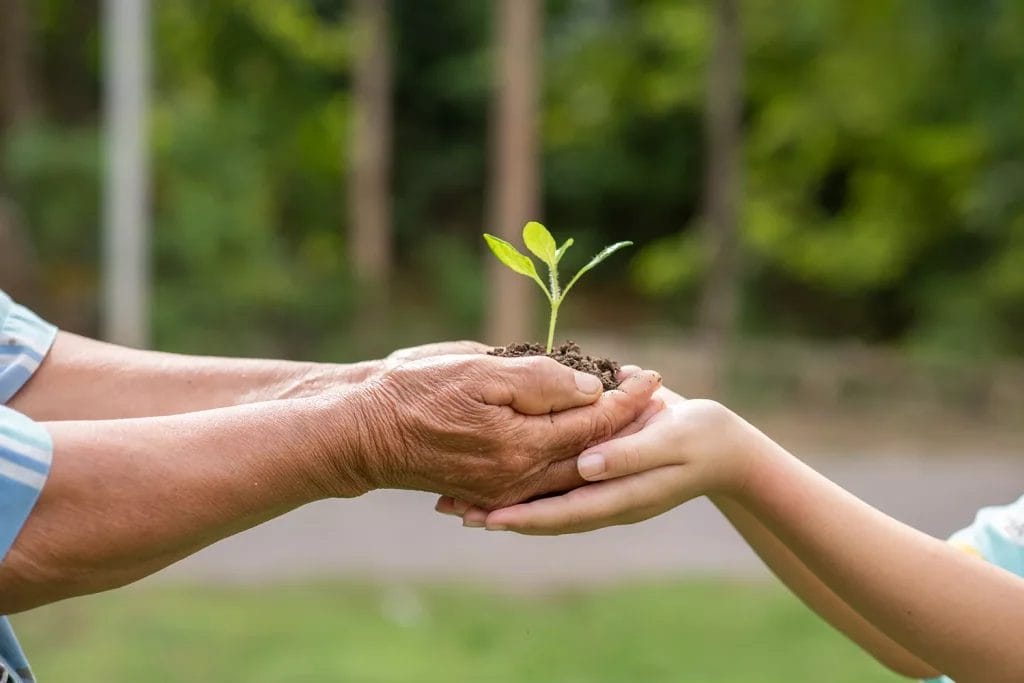 Efficient & Sustainable elderly-person-children-holding-plant