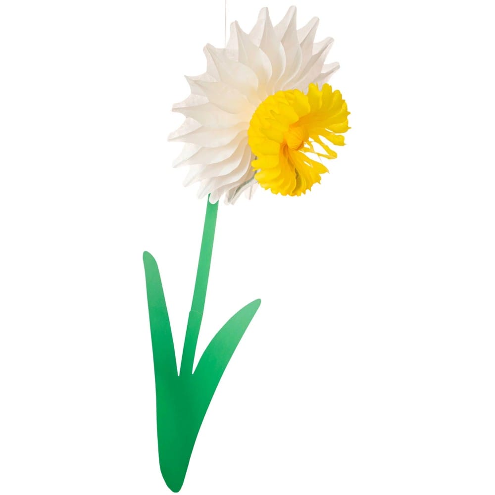 Honeycomb Daffodil in extra large with white petals and yellow center.